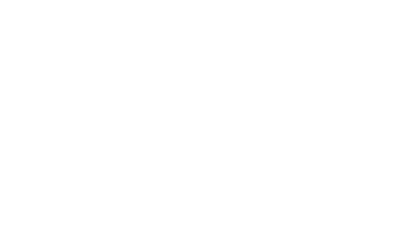 Local SEO Ft. Lauderdale logo