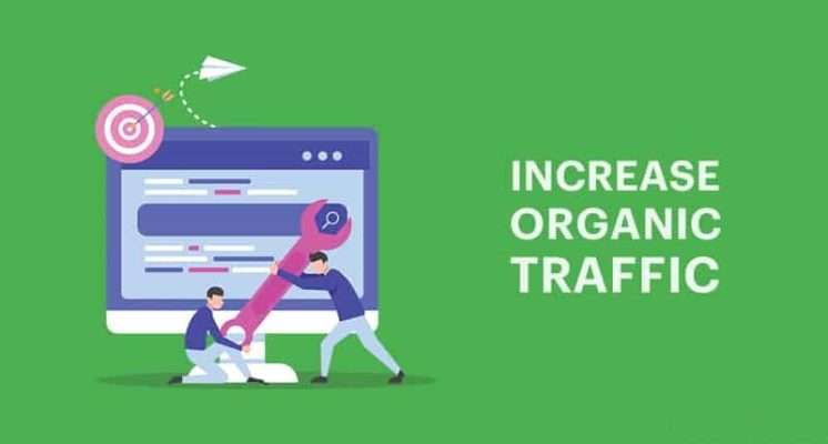 Increase-Organic-traffic-image-2