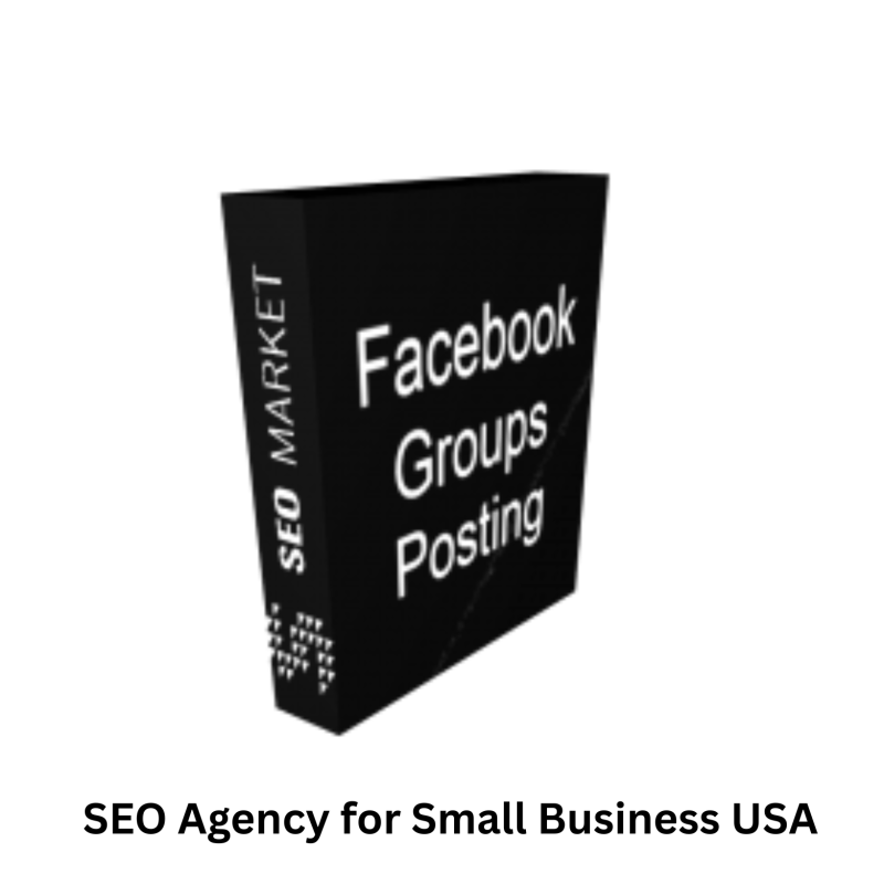 SEO Agency for Small Business USA – Growth & Leads